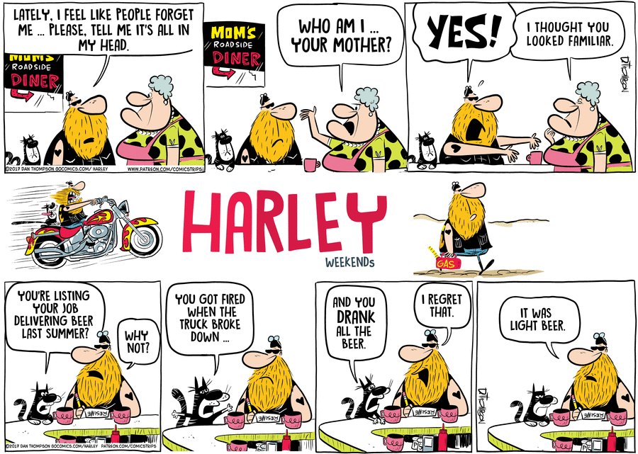 Harley by Dan Thompson on Sat, 07 Jun 2025