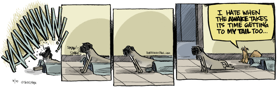 Bob the Squirrel by Frank Page on Fri, 20 Jun 2025