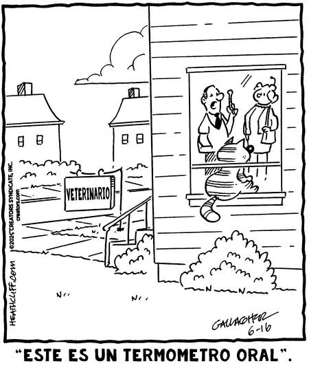 Heathcliff en Español by Peter Gallagher and George Gately on Mon, 16 Jun 2025
