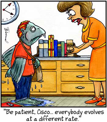 Birdbrains by Thom Bluemel on Tue, 06 May 2025