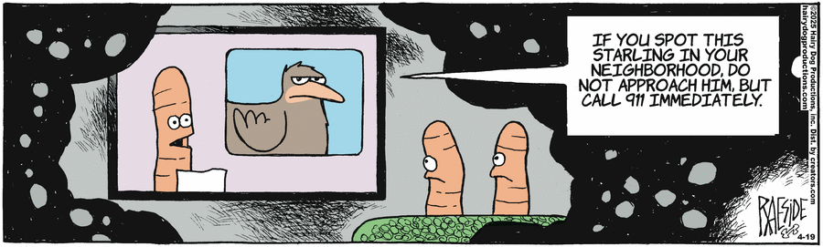 The Other Coast by Adrian Raeside on Sat, 19 Apr 2025