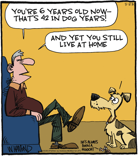 Reality Check by Dave Whamond  on Fri, 23 May 2025