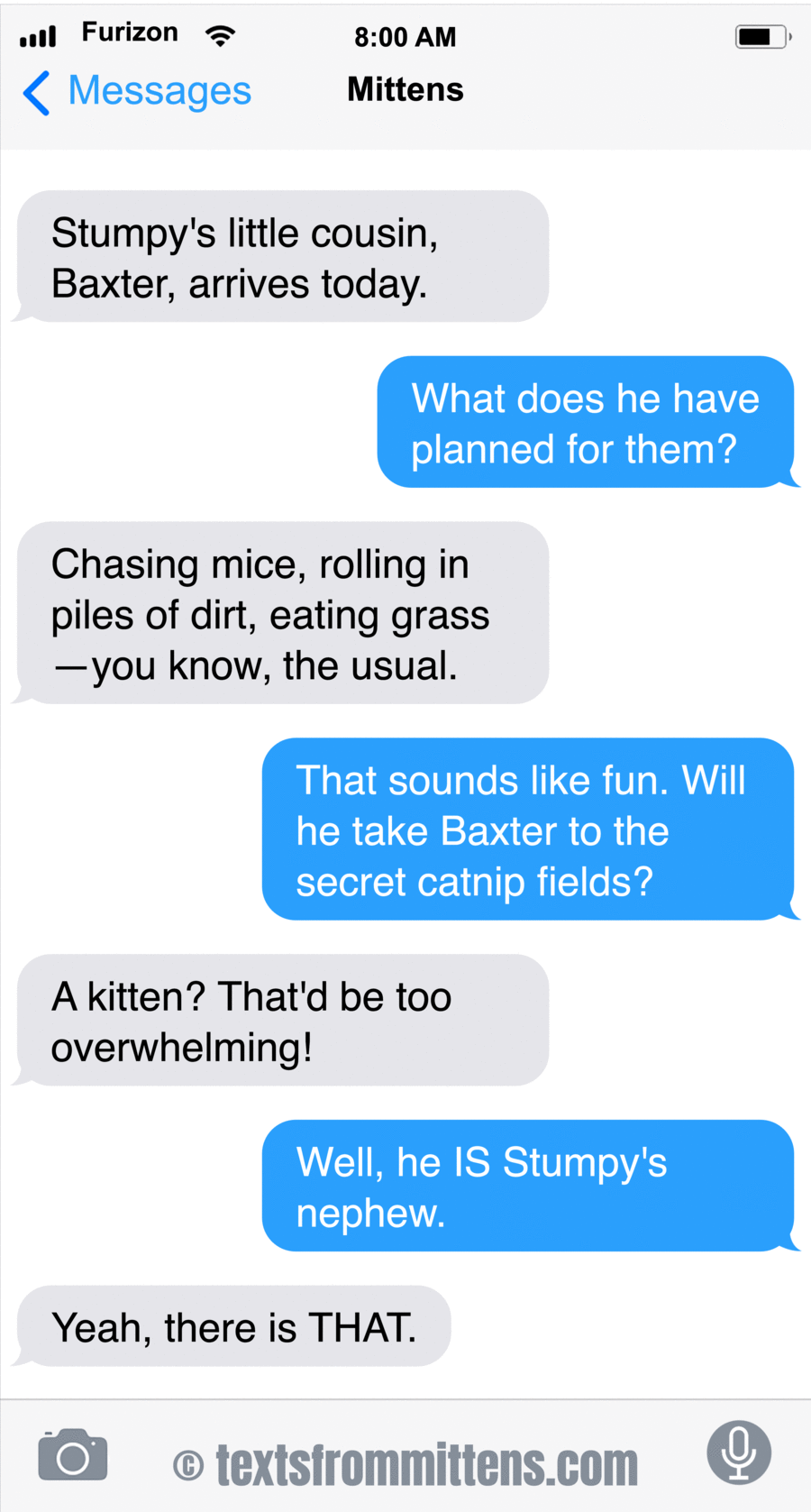 Texts From Mittens by Angie Bailey on Wed, 07 May 2025