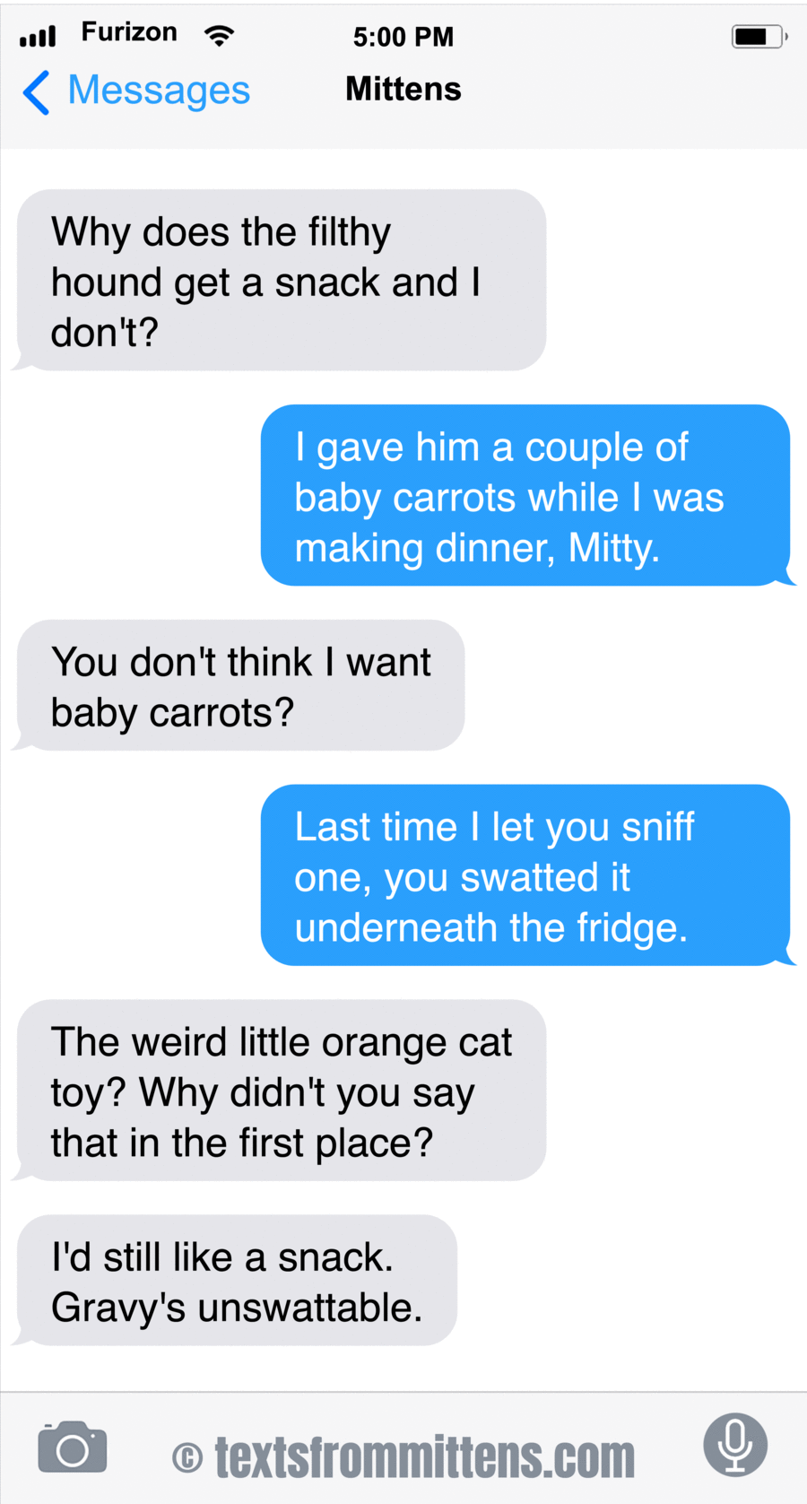 Texts From Mittens by Angie Bailey on Fri, 30 May 2025