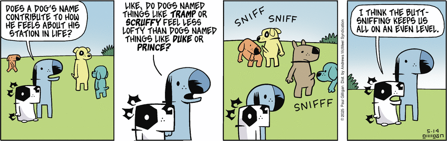 Pooch Cafe by Paul Gilligan on Wed, 14 May 2025