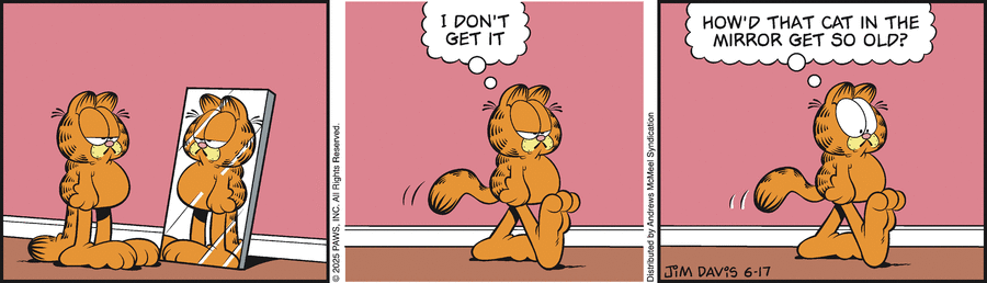 Garfield by Jim Davis on Tue, 17 Jun 2025
