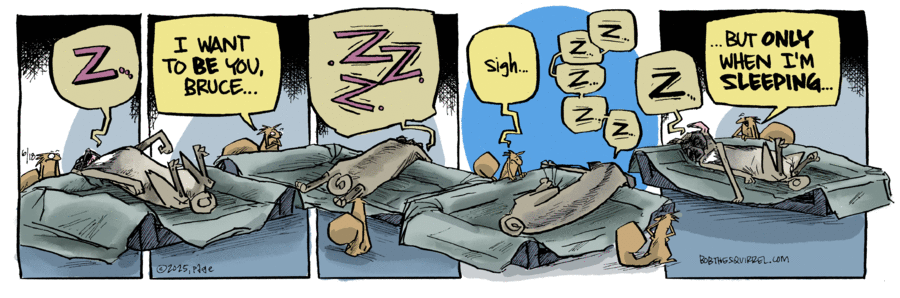Bob the Squirrel by Frank Page on Wed, 18 Jun 2025