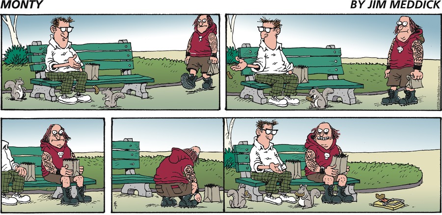 Monty by Jim Meddick  on Sun, 01 Jun 2025