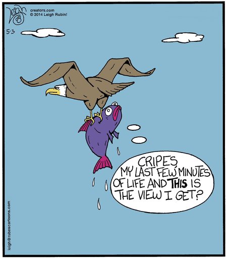 Rubes by Leigh Rubin on Sat, 03 May 2025