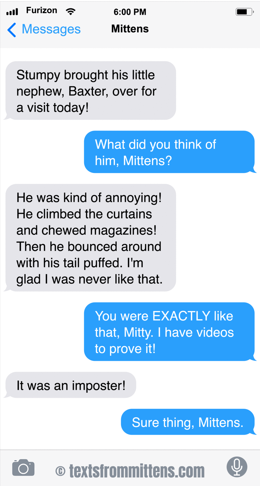 Texts From Mittens by Angie Bailey