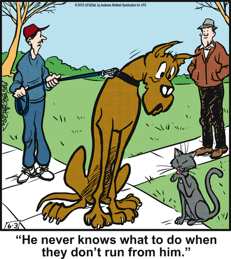 Marmaduke by Brad Anderson on Tue, 03 Jun 2025