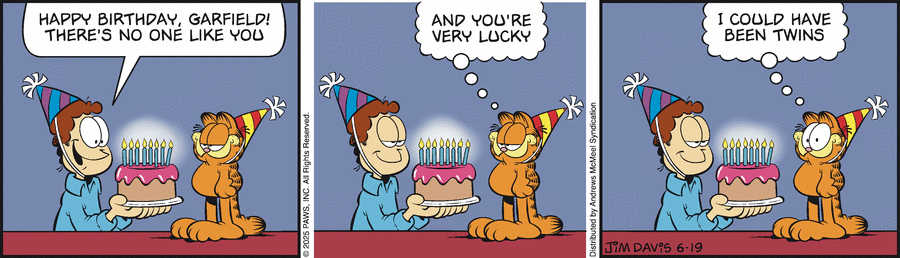 Garfield by Jim Davis