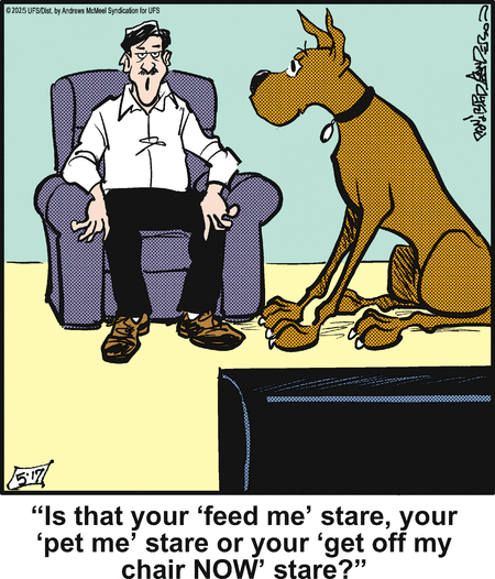 Marmaduke by Brad Anderson on Sat, 17 May 2025