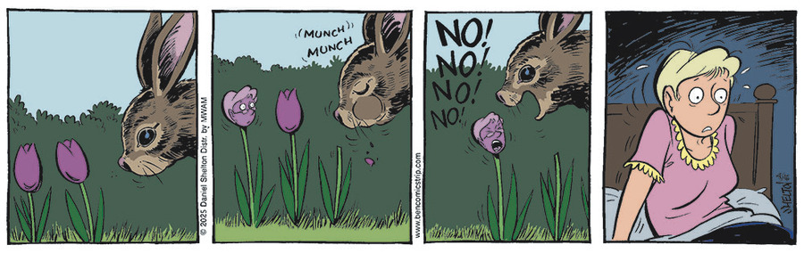 Ben by Daniel Shelton on Wed, 16 Apr 2025