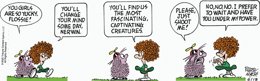 Broom Hilda by Russell Myers on Fri, 13 Jun 2025