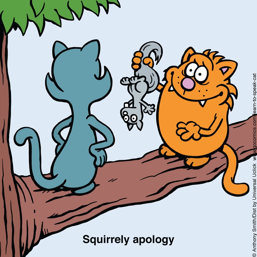 Learn to Speak Cat by Anthony Smith on Sun, 27 Apr 2025
