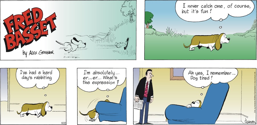 Fred Basset by Alex Graham on Sun, 22 Jun 2025