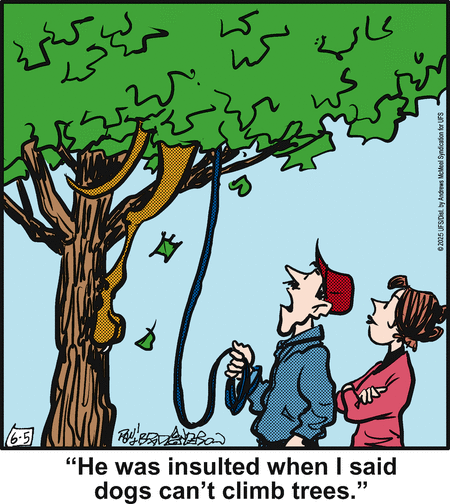 Marmaduke by Brad Anderson on Thu, 05 Jun 2025