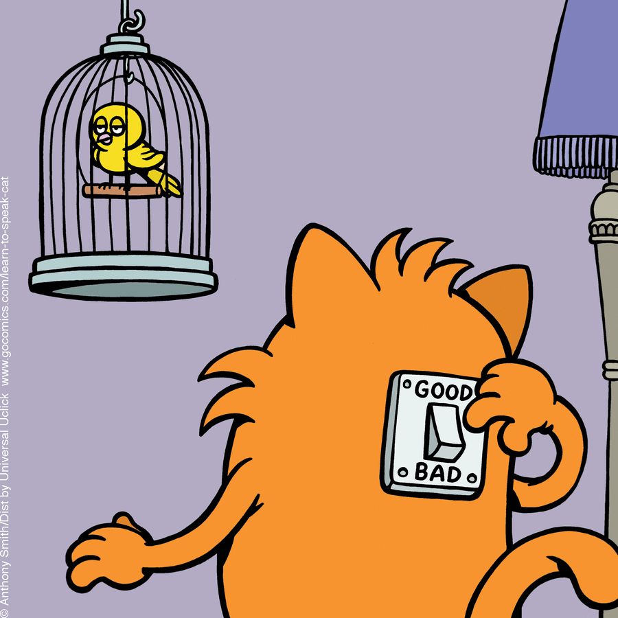 Learn to Speak Cat by Anthony Smith on Sat, 03 May 2025