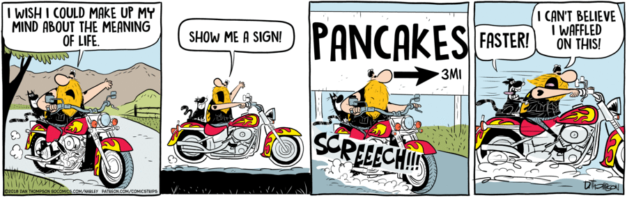 Harley by Dan Thompson on Fri, 13 Jun 2025