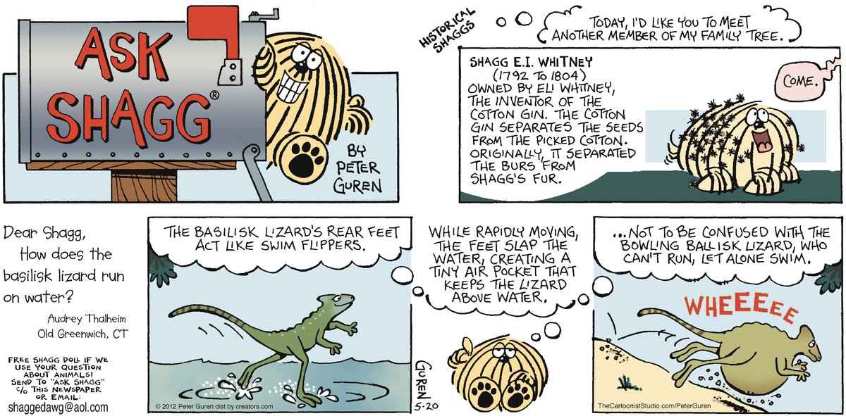 Ask Shagg by Peter Guren on Sun, 22 Jun 2025