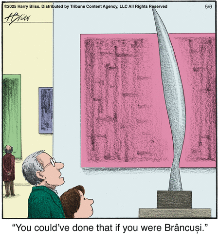 Bliss by Harry Bliss on Tue, 06 May 2025