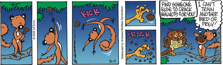 Rose Is Rose by Don Wimmer and Pat Brady on Wed, 07 May 2025
