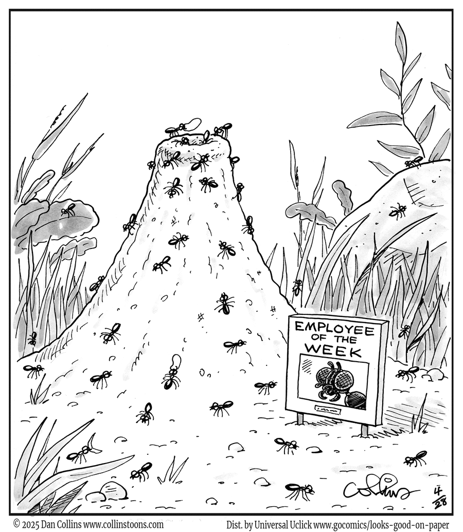 Looks Good on Paper by Dan Collins on Mon, 28 Apr 2025