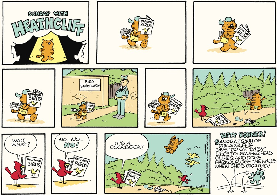 Heathcliff by Peter Gallagher and George Gately on Sun, 04 May 2025