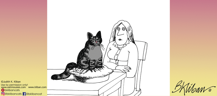 Kliban's Cats by B. Kliban