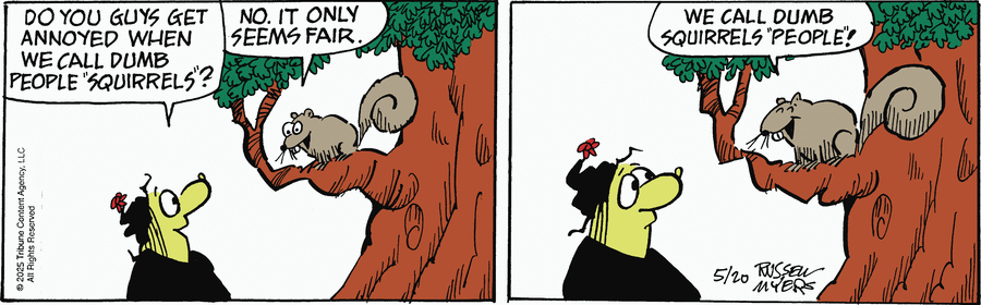 Broom Hilda by Russell Myers on Tue, 20 May 2025