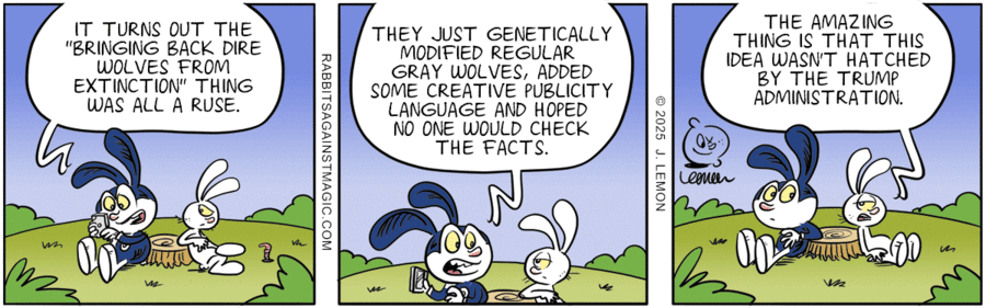 Rabbits Against Magic by Jonathan Lemon on Mon, 16 Jun 2025