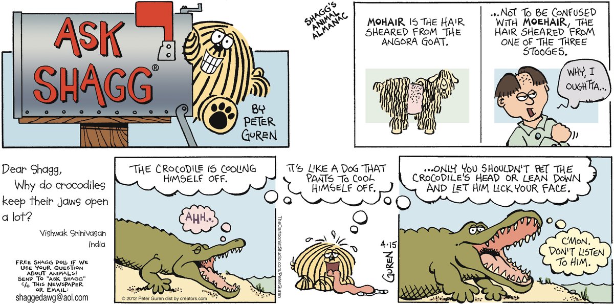 Ask Shagg by Peter Guren on Mon, 02 Jun 2025