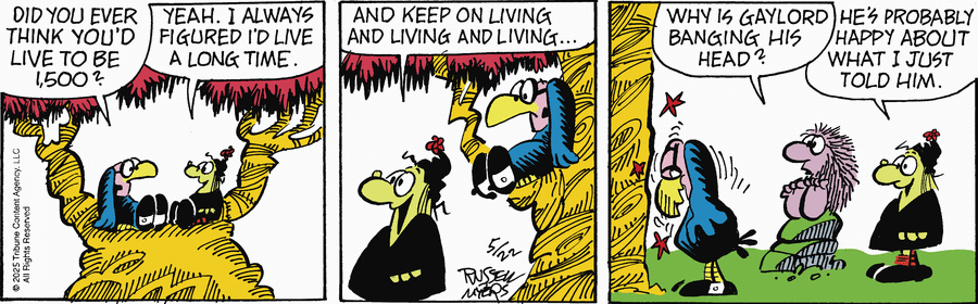 Broom Hilda by Russell Myers on Thu, 22 May 2025
