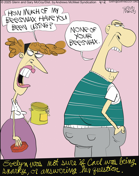 The Flying McCoys by Gary McCoy and Glenn McCoy on Wed, 02 Apr 2025