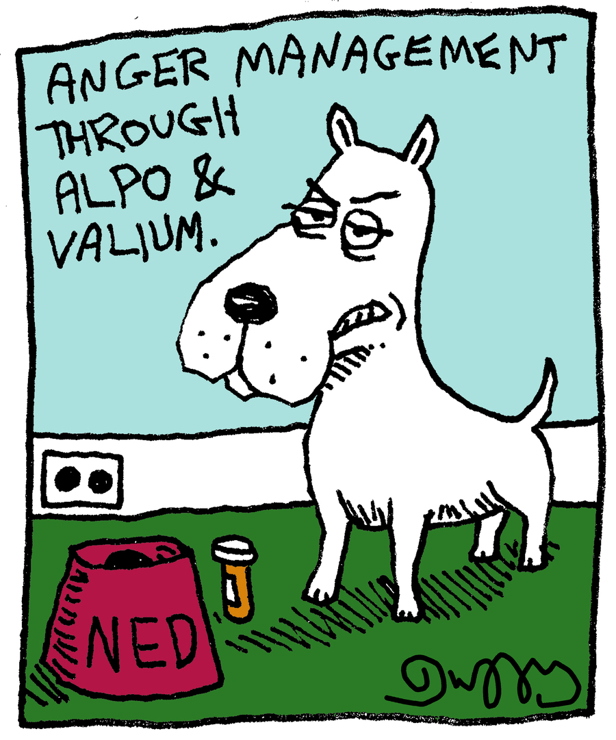 Lug Nuts by J.C. Duffy on Mon, 09 Jun 2025