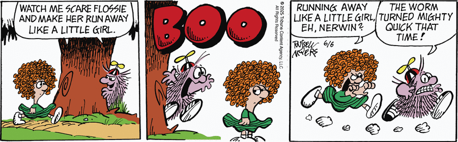 Broom Hilda by Russell Myers on Fri, 06 Jun 2025