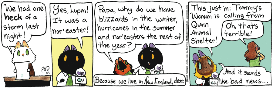 Breaking Cat News by Georgia Dunn on Mon, 09 Jun 2025
