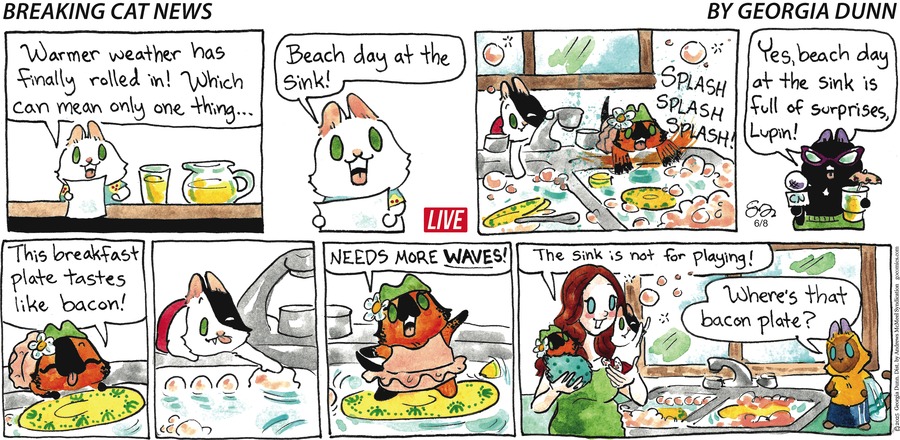Breaking Cat News by Georgia Dunn on Sun, 08 Jun 2025