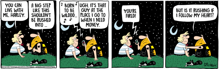Harley by Dan Thompson on Mon, 02 Jun 2025