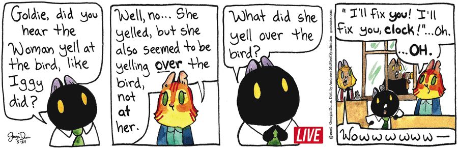 Breaking Cat News by Georgia Dunn on Sat, 24 May 2025