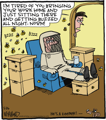 Reality Check by Dave Whamond  on Mon, 26 May 2025