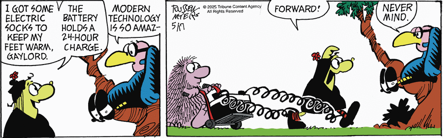 Broom Hilda by Russell Myers on Sat, 17 May 2025