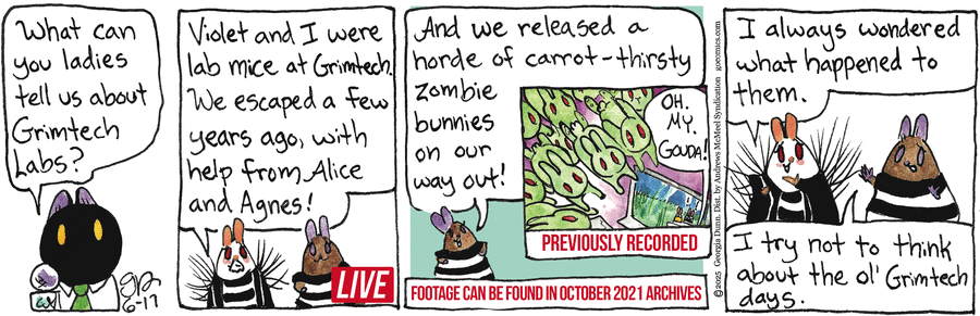 Breaking Cat News by Georgia Dunn on Tue, 17 Jun 2025