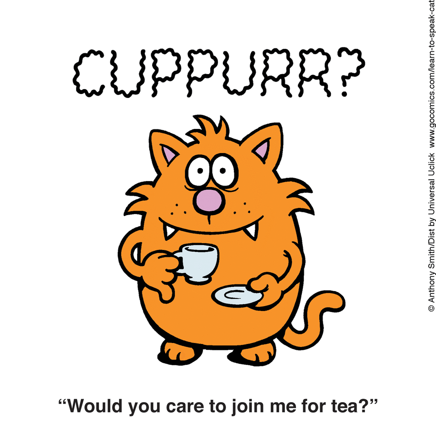 Learn to Speak Cat by Anthony Smith on Mon, 26 May 2025