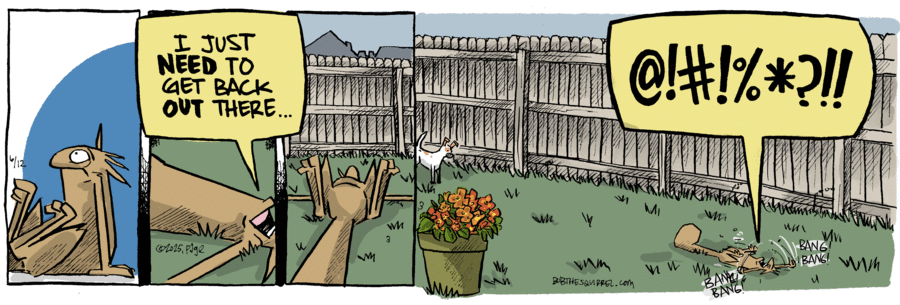 Bob the Squirrel by Frank Page on Thu, 12 Jun 2025