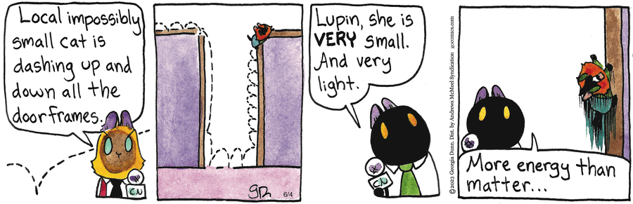 Breaking Cat News by Georgia Dunn on Wed, 04 Jun 2025
