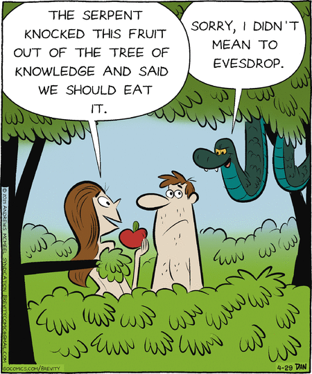 Brevity by Dan Thompson on Tue, 29 Apr 2025