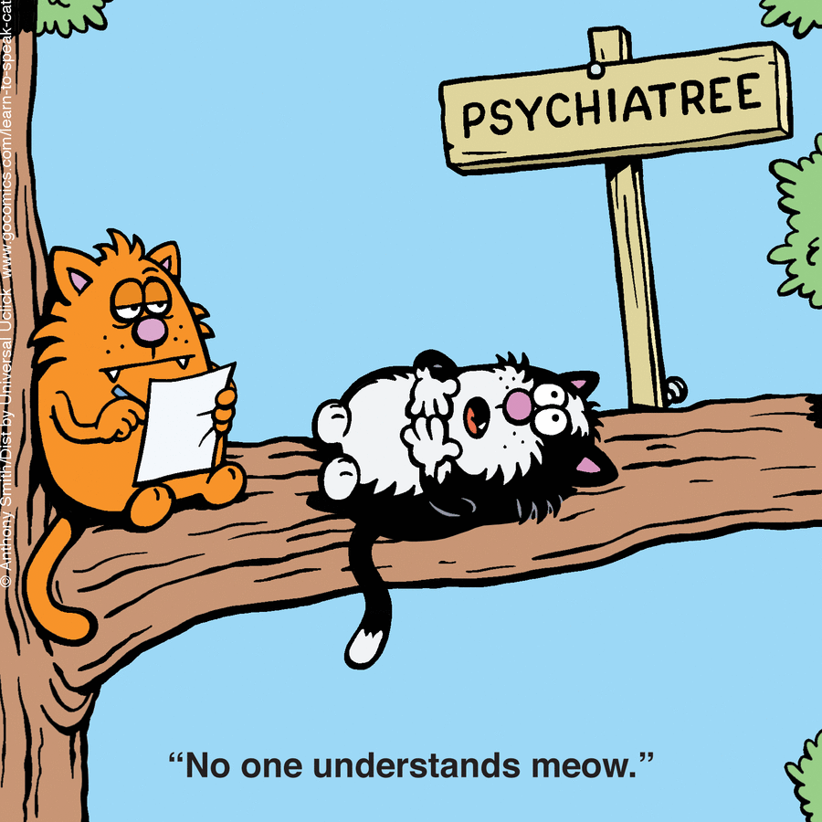 Learn to Speak Cat by Anthony Smith on Tue, 27 May 2025