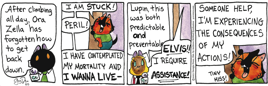 Breaking Cat News by Georgia Dunn on Thu, 05 Jun 2025